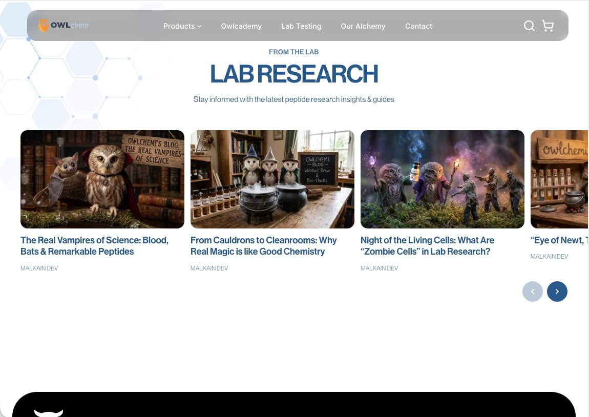 Blog carousel with illustrated owl artwork for each article