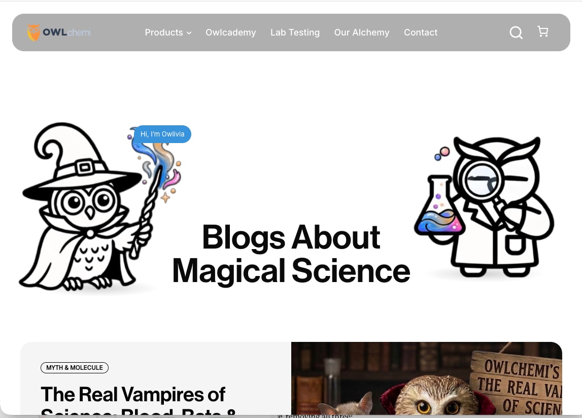 Blog landing page with illustrated owl wizard and scientist characters